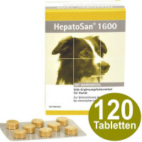 Alfavet 1600 HepatoSan 120 Tabletten für Hunde bei Leberinsuffizienz