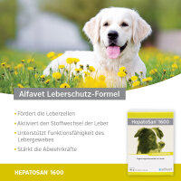 Alfavet 1600 HepatoSan 120 Tabletten für Hunde bei...