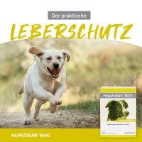 Alfavet 1600 HepatoSan 120 Tabletten für Hunde bei Leberinsuffizienz