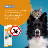 Alfavet Dia Tab Röhre 12x5,5g Hund Katze bei & nach Durchfall