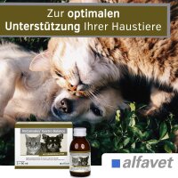 Alfavet ReConvales Gastro Balance 3x90ml Hund Katze unterst. Magenschleimhaut