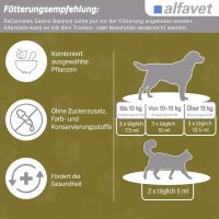 Alfavet ReConvales Gastro Balance 3x90ml Hund Katze unterst. Magenschleimhaut