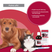 Alfavet Pulmo Alfa 2x 100ml Hustensaft für Hund und...