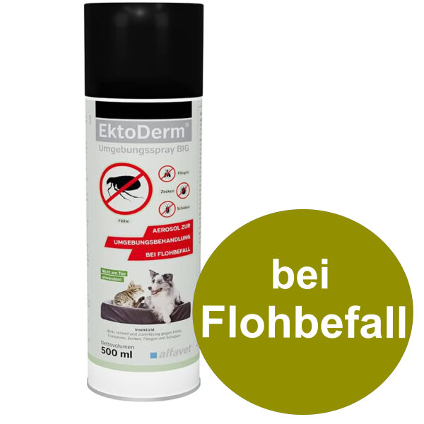 Alfavet EktoDerm Big 500ml Fogger bei Flohbefall