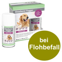 Alfavet EktoDerm 2x100ml Fogger bei Flohbefall