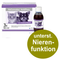 Alfavet ReConvales AntiPhos 3x90ml Hund Katze unterst....