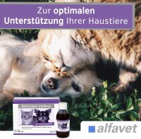 Alfavet ReConvales AntiPhos 3x90ml Hund Katze unterst. Nierenfunktion