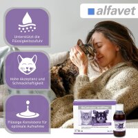 Alfavet ReConvales AntiPhos 3x90ml Hund Katze unterst. Nierenfunktion