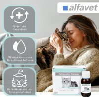 Alfavet ReConvales 3x45ml Tonicum für Katzen...