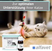 Alfavet ReConvales 3x45ml Tonicum für Katzen Appetitanregung Aufbau