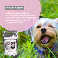 Alfavet FeliGum Gingiva 2x120g Hund Katze bei Zahnfleischentzündung