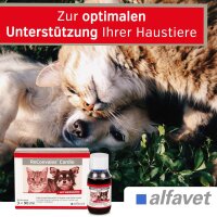 Alfavet ReConvales Cardio 3x90ml Herz Kreislauf Hund Katze