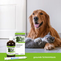 Alfavet Urostat 2x 100ml Flasche Hund Katze mit D-Mannose