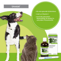 Alfavet Urostat 2x 100ml Flasche Hund Katze mit D-Mannose