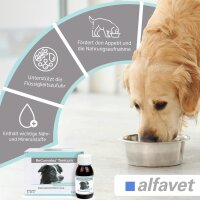 Alfavet ReConvales 3x90ml Tonicum für Hunde Appetitanregung Aufbau