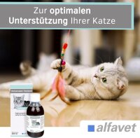 Alfavet ReConvales 280ml Tonicum für Katzen Appetitanregung Aufbau