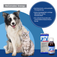 Alfavet ReConvales Energy 180ml Aufbaunahrung für Hunde & Katzen